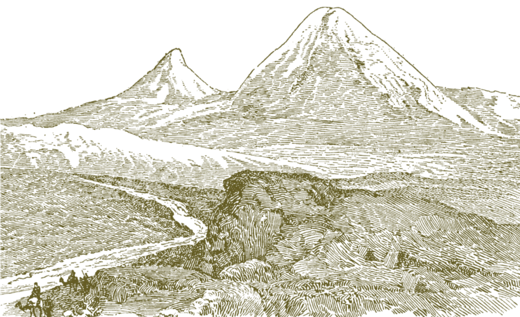 Abstract illustration of a bright orange sunburst.